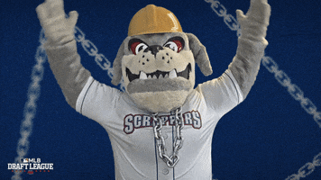 Baseball Bulldog GIF by Mahoning Valley Scrappers