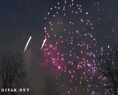 Animated Gif I Made At Fireworks Tonight >> Animals Fireworks Gifs Get The Best Gif On Giphy Animated Gif I Made At Fireworks Tonight >> Animals Fireworks Gifs Get The Best Gif On Giphy