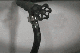 giphy.gif