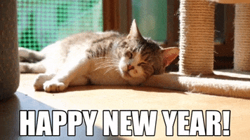 Video gif. A cat lounges on the ground, bathing in the warm sun. It rests its head on the base of a cat tree and wags the tip of its tail. The cat opens its eyes and looks around. Text, “Happy new year!”