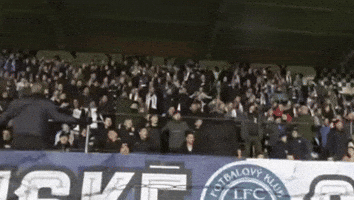 Ultras Fcs GIF