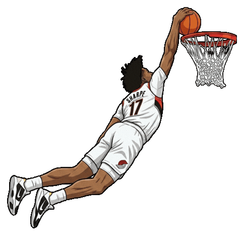 Nba Superman Sticker