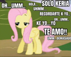 Te Amo GIF
