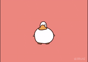 Duck GIF