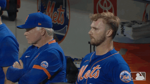Nym-mets-lgm GIFs - Get the best GIF on GIPHY