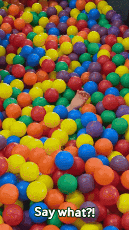 Shock What GIF by Monkey Town