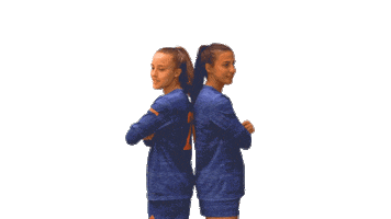 Soccer Sticker by Ontario Tech Ridgebacks