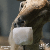 Hungry Goat GIF by I Know What You Did Last Summer