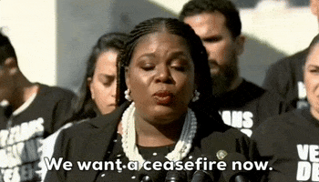 Ceasefire House Democrats GIF by GIPHY News