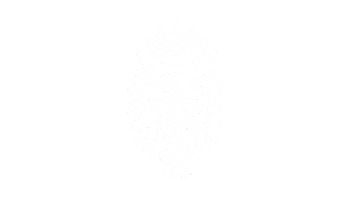 Elation Pro Sticker