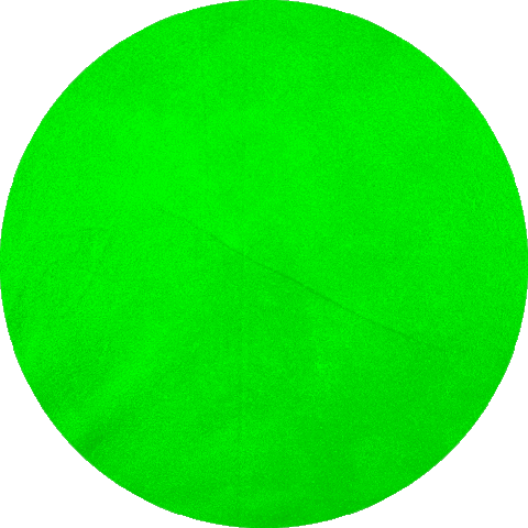 Star Lasalle Sticker by DeLaSalleMexNte