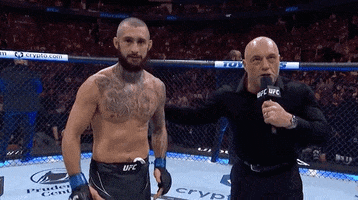 Sport Bow GIF by UFC