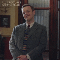 Eyebrows Yorkshire GIF by All Creatures Great And Small