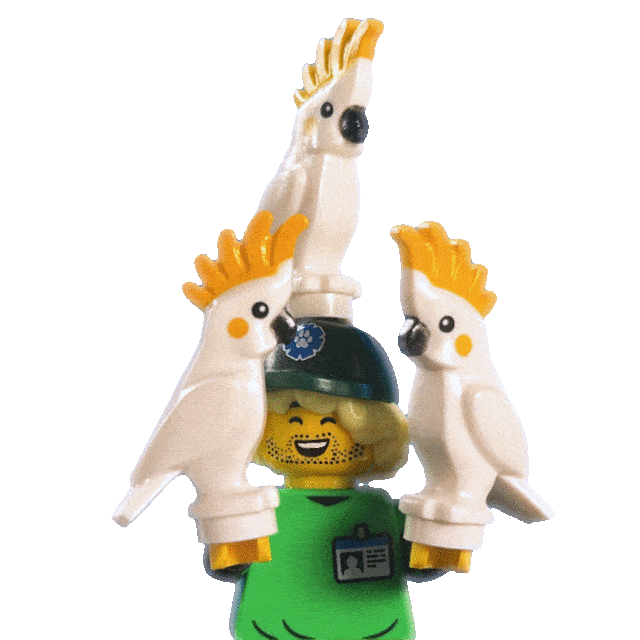 Down Under Animation Sticker