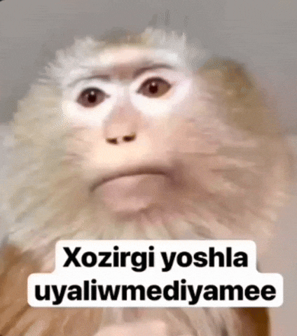 Uzbekistan GIF