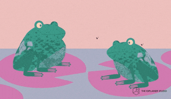 Animation Frog GIF by The Explainer Studio