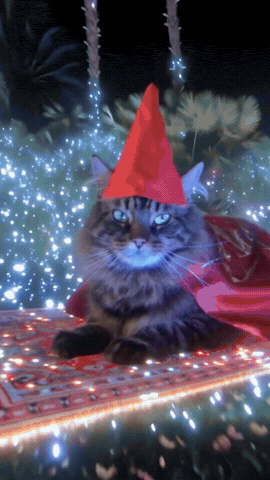 Magic Cat GIF