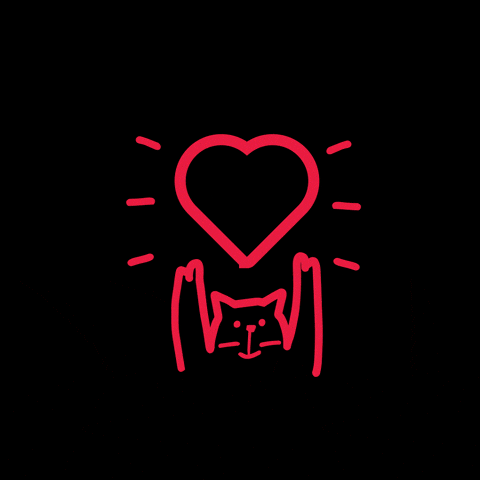 OdunpazariModernMuseum GIF