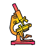 Animation Loop GIF by Miron