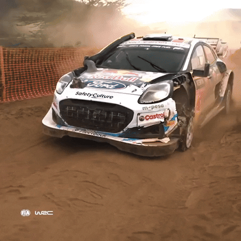 Car Damage GIF by FIA World Rally Championship
