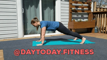 Planks GIF