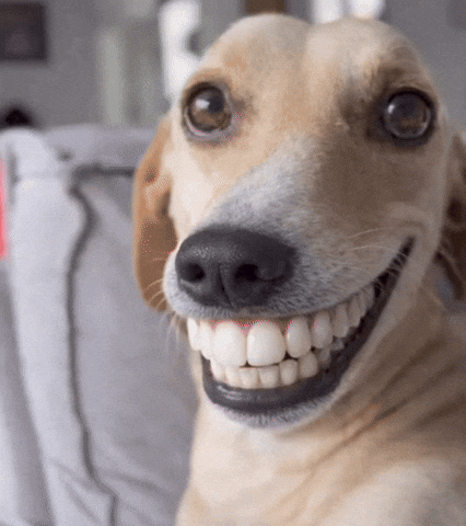 Grabando y editando contenido