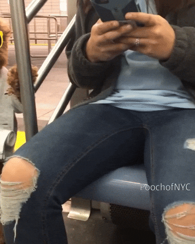 giphy.gif?cid=6c09b952133s4n9vpuxzyussnb