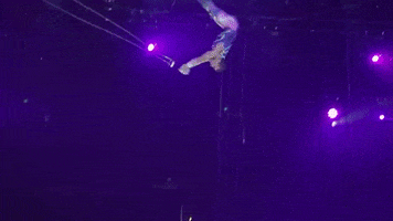 ringling bros circus GIF by Ringling Bros. and Barnum & Bailey