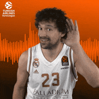 Real Madrid Sport GIF by EuroLeague