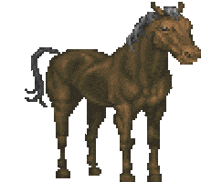 Animated Sticker