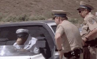 burt reynolds smokey and the bandit ornagutan