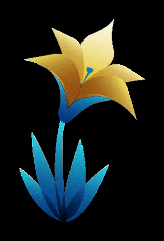 Trento Film Festival GIF