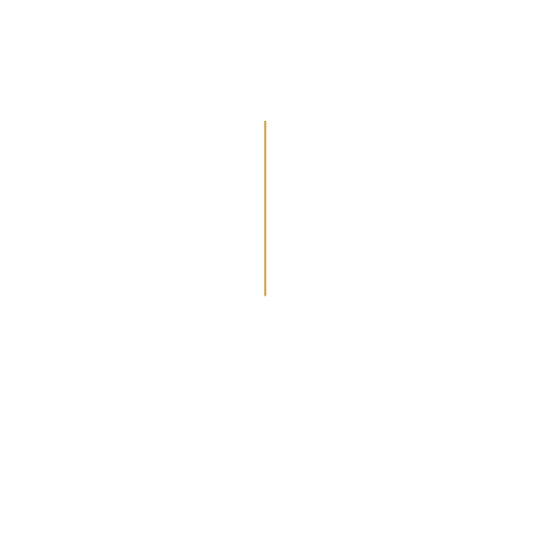 Carlos Augusto Plastica Sticker
