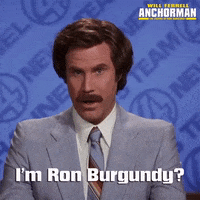 Will Ferrell GIF by Paramount Movies