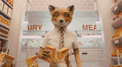 fantastic mr fox