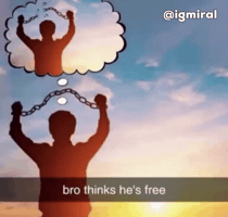 Igmiral GIF