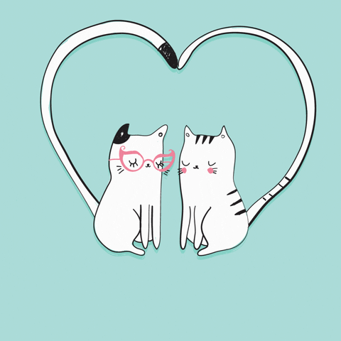 Heart Cats GIF by Kartenkaufrausch