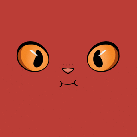 Cat Love GIF by Kitaro World