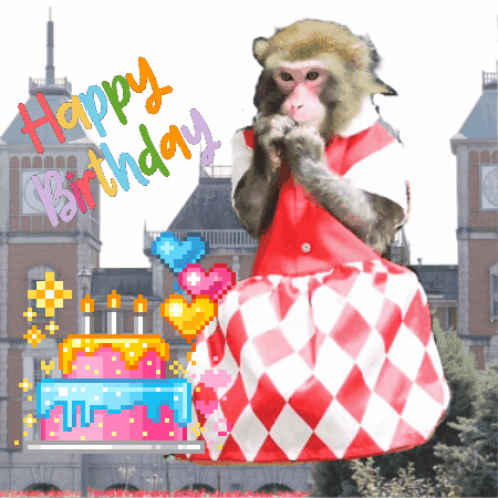 Happy Birthday Monkey GIF