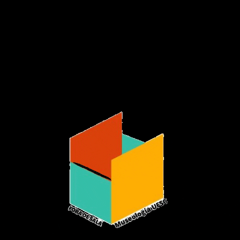 Museologia UFSC GIF