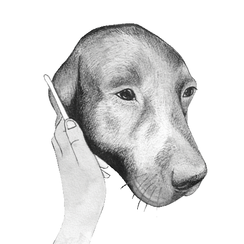 Dog Sticker