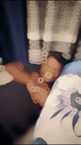 Bhalu GIF