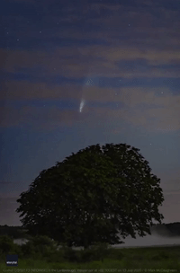 Comet Neowise Streaks Across Clear Night Sky Over Netherlands