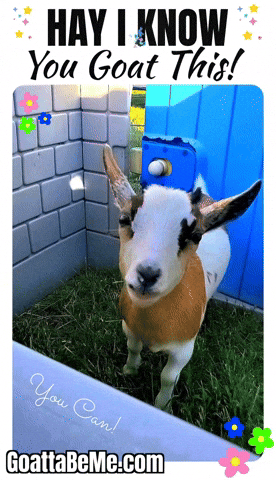 You Can Do This GIF by Goatta Be Me Goats! Adventures of Java, Toffee, Pumpkin and Cookie!