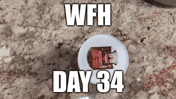 Winning Work From Home GIF by Woot!