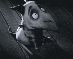 dog perfect zombie tim burton frankenweenie