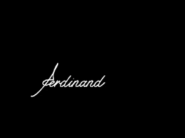 FerdinandConcept makeup wedding brand luxury GIF