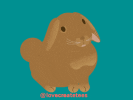 Bunny Rabbit GIF