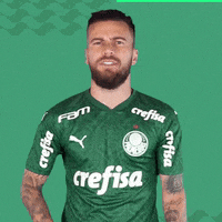 Lucas Puma GIF by SE Palmeiras