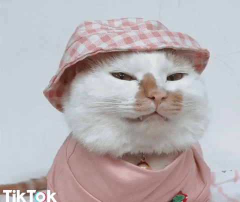 suspicious looking at you GIF by TikTok